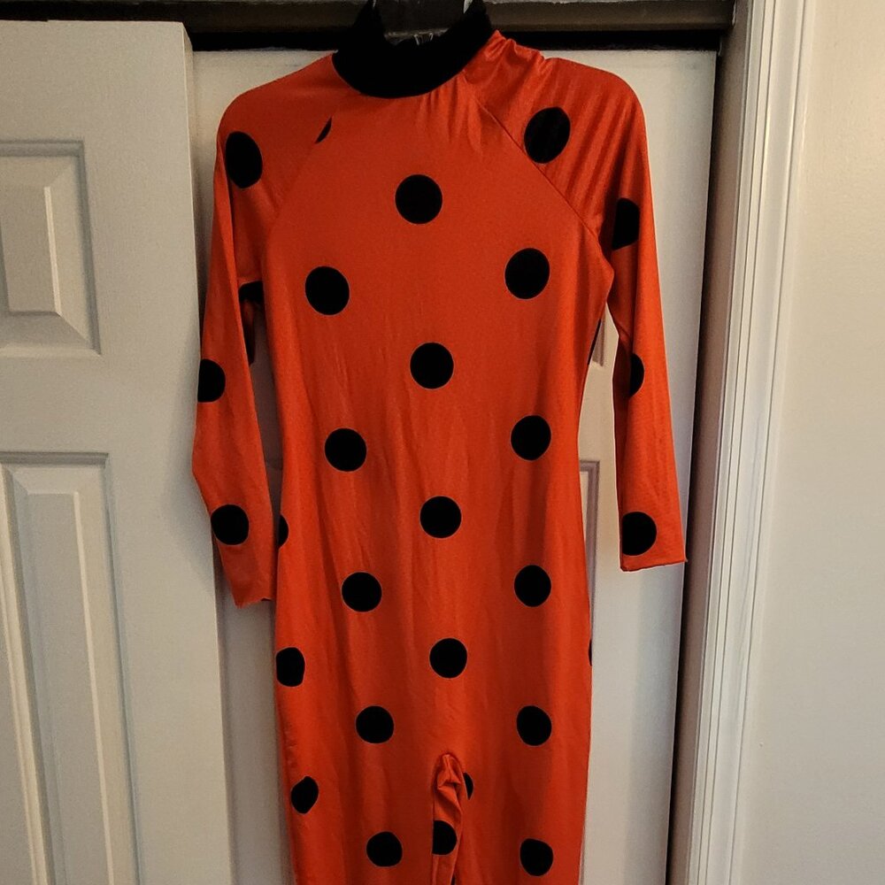 Miraculous Costume
